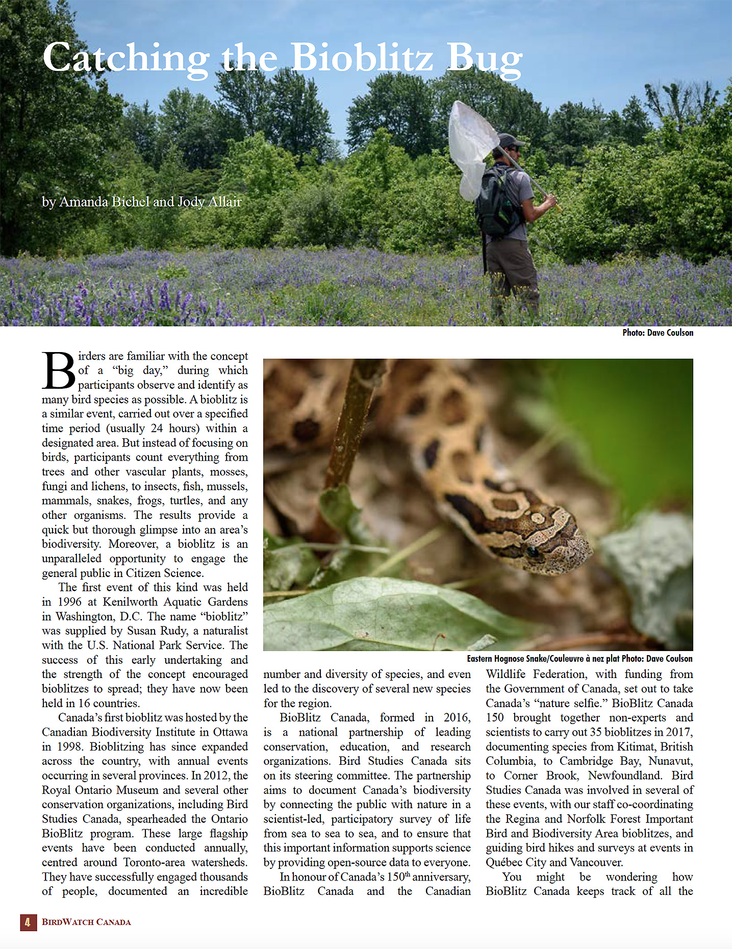Bird Studies Canada newsletter on bioblitz