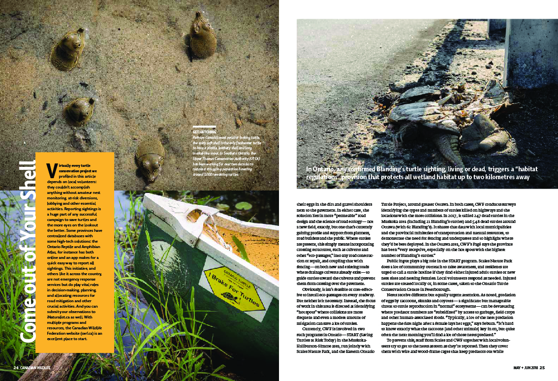 Canadain Wildlife Magazine may/june issue slow and steady