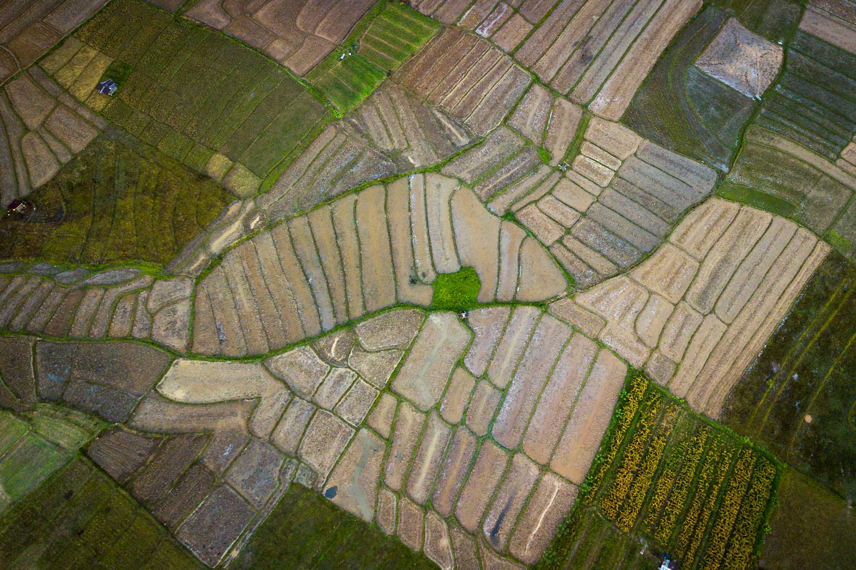 Aerial view of agricultural land in Lake Toba, Indonesia 