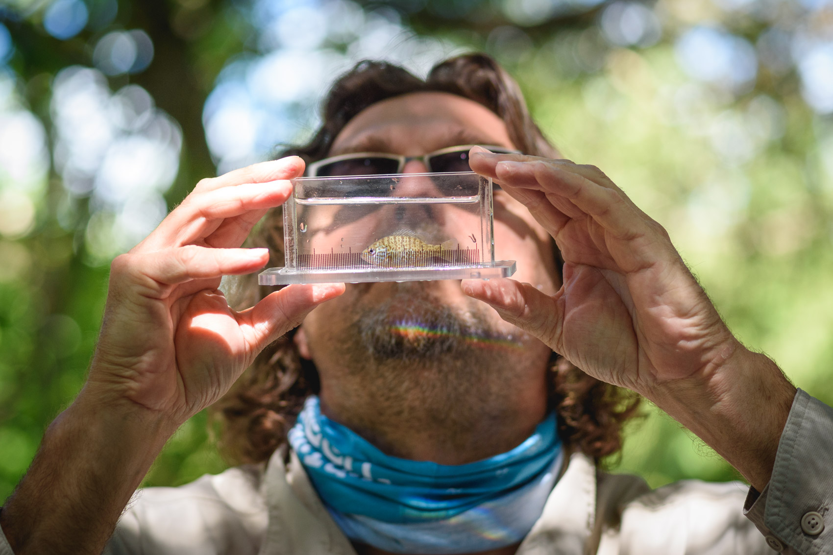 University of Toronto professor identifying a fish from the Rouge River © David Coulson Canadian conservation photojournalist
