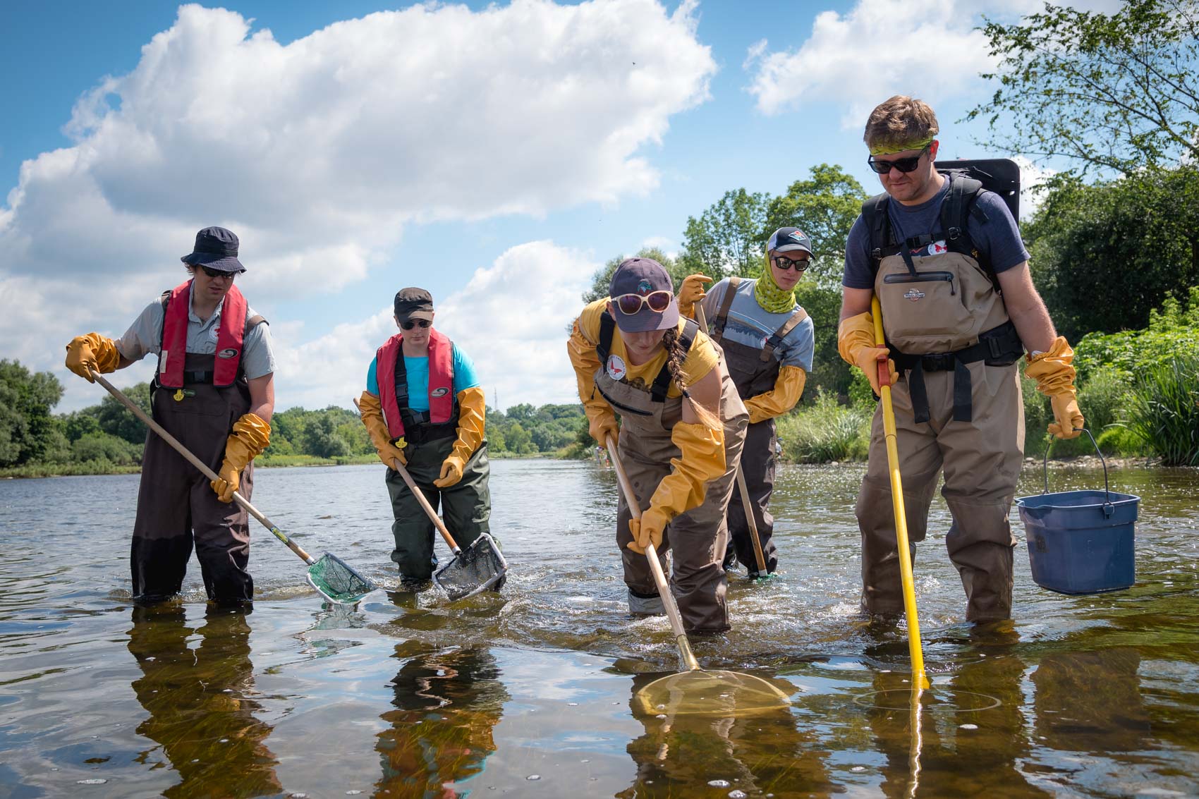 A group of people trying to electrofish fish out of water at a BioBlitz in Cambridge, Ontario © David Coulson conservation photojournalist