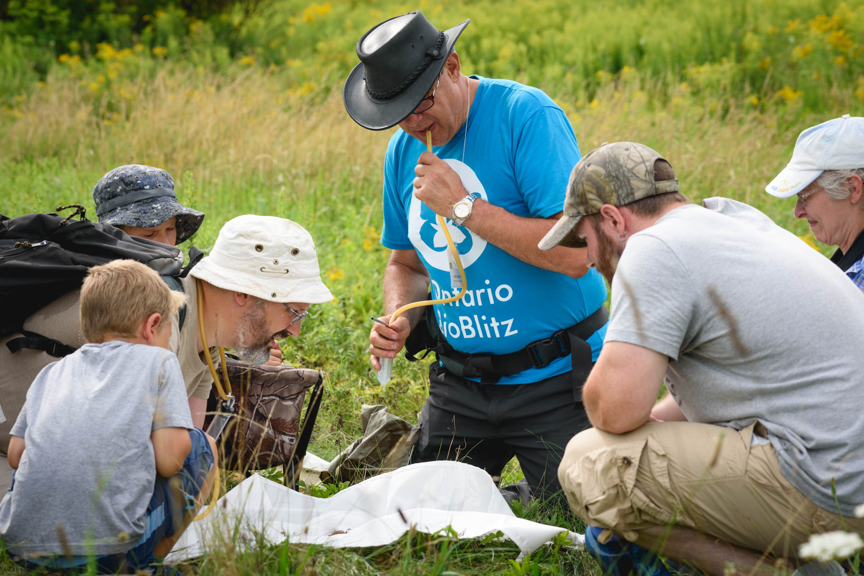BioBlitz participants gather to see spiders collected by a scientist 