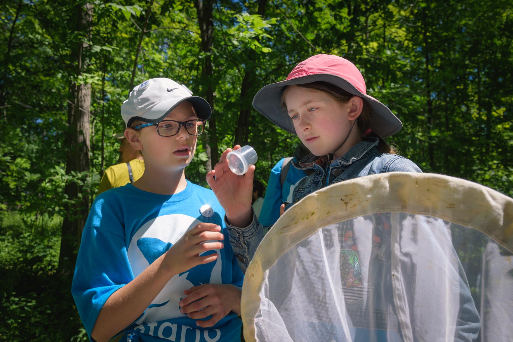 Two girls looking a bee in a container at a BioBlitz