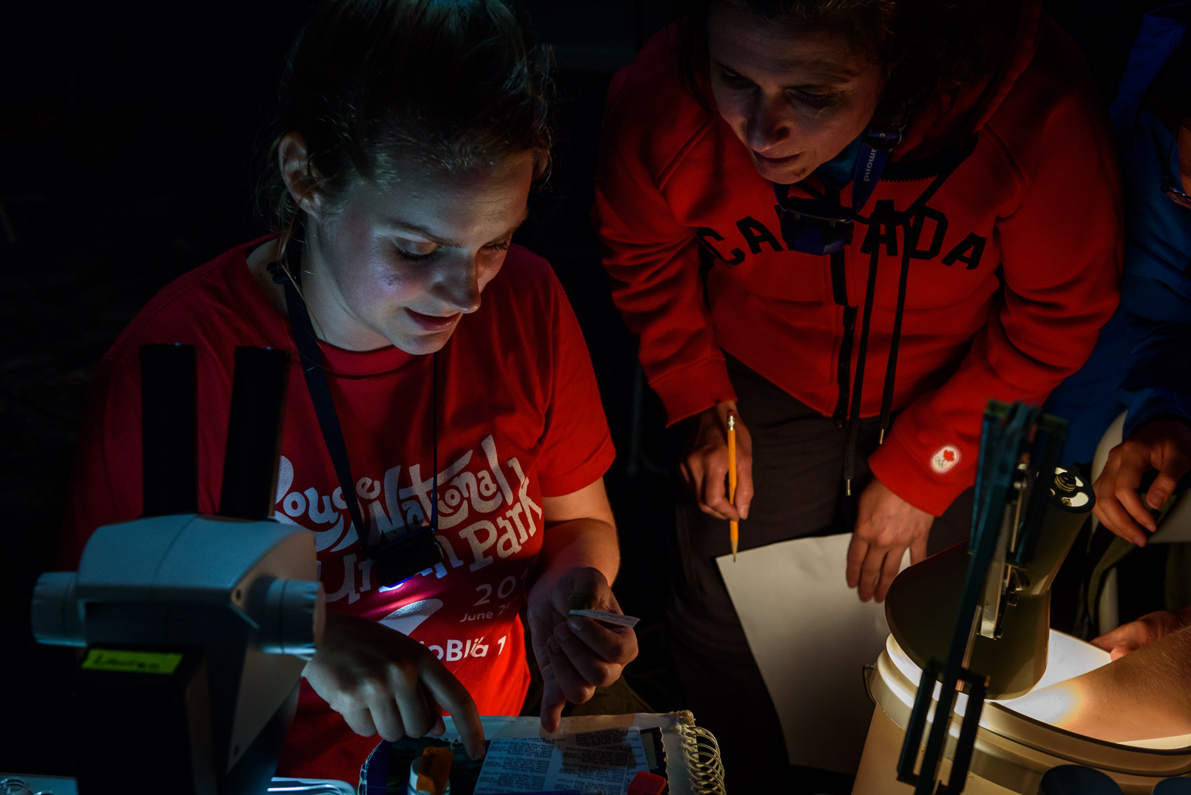 Two researchers trying to identify an insect at a BioBlitz in Rouge Park