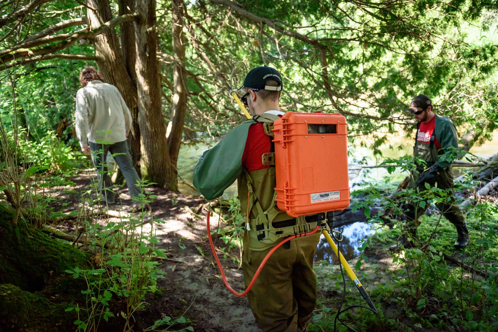 A researcher with an electrofishing backpack walking through a forest 