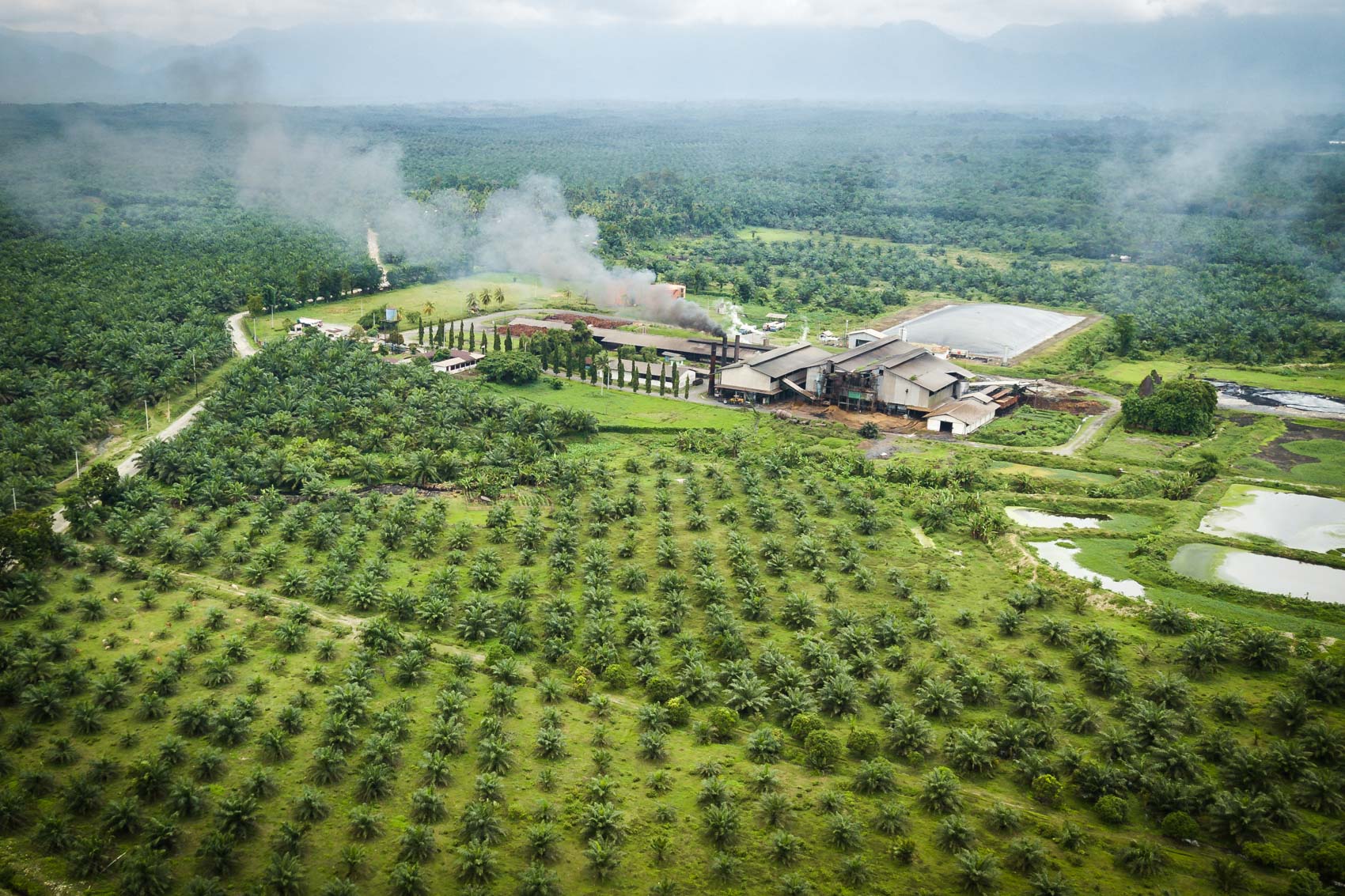 Aerial view of a palm oil extraction mill in Northern Sumatra, Indonesia © David Coulson conservation photojournalist