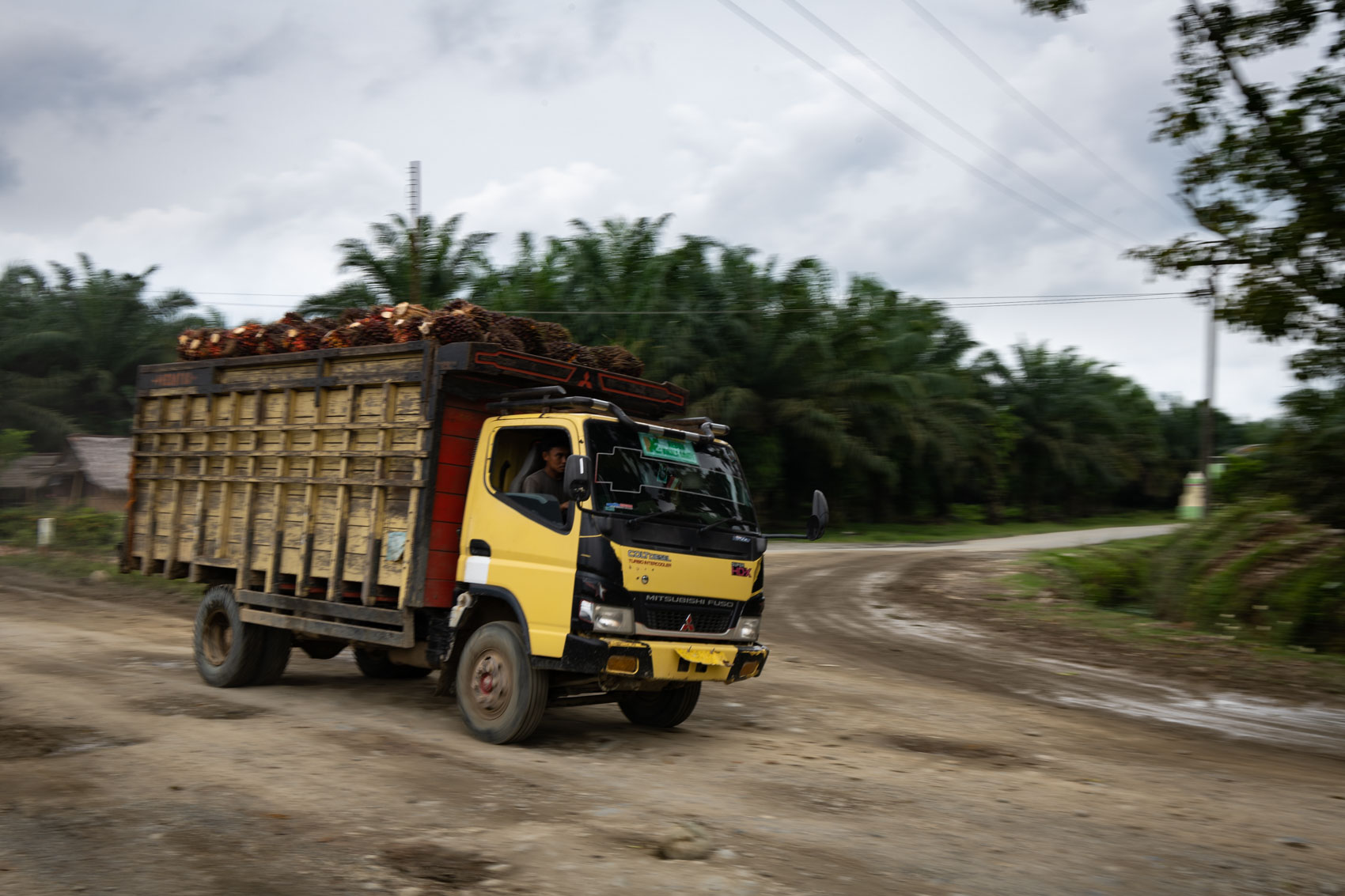 A truck filled with palm oil drives through a dirt road in Northern Sumatra, Indonesia