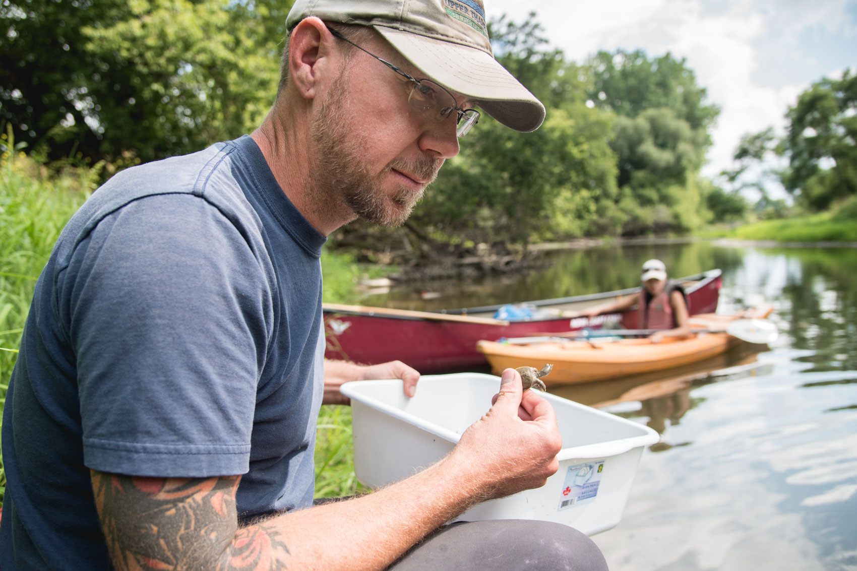 Biologist Scott Gillingwater holds a baby softshell turtle in the Upper Thames River
