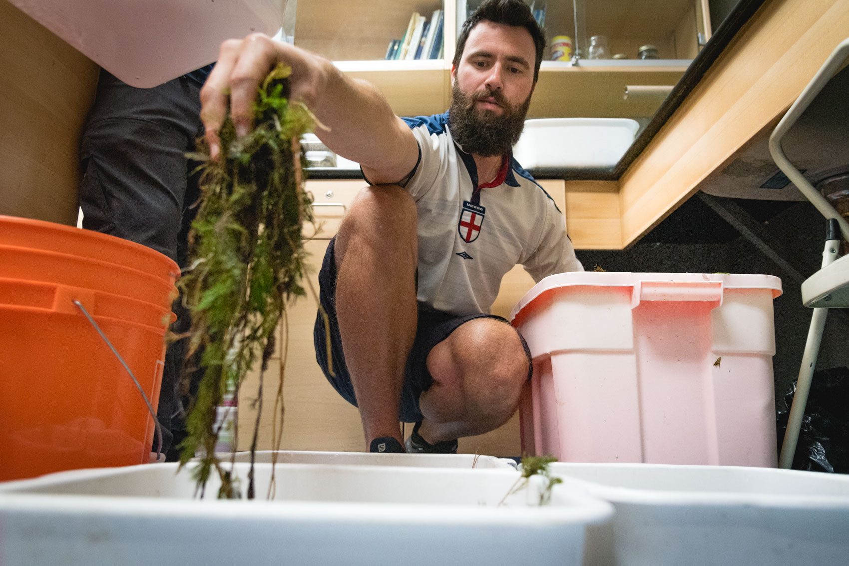 A research assistant puts moss and seaweeds into a plastic tub at Upper Thames River Conservation Authority